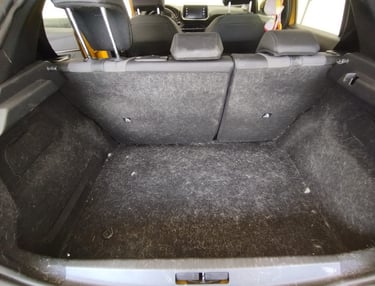 Poils d'animaux voiture nettoyage avant 