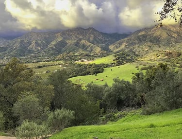 Green Montecito, California valley after winter rain.