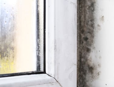 mildew and moisture around a window
