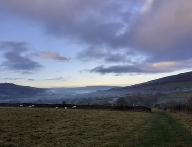 Morning walk