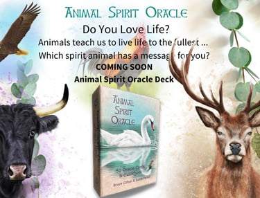 Animal Spirit oracle deck, publicity