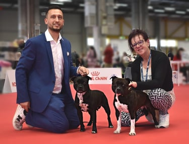Soggetti dell'Allevamento Grecalestaffs premiati all'Enci Winner dalla giudice Daniela Maffei