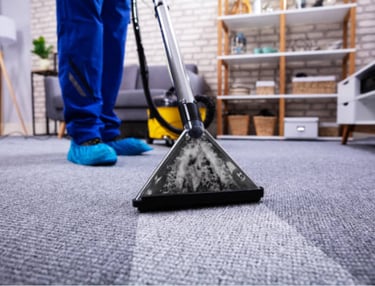 Professional hot-water extraction on the carpet
