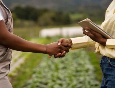 formations engrais naturelles pour tous agriculteurs africains