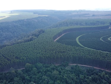 Compensação Ambiental