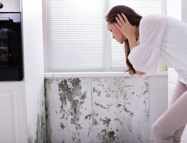 protocollo casa sana edil leonardo eliminare la muffa