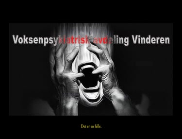 Vinderen psykiatrisk avdeling Oslo,helsetjenester,helsetilsynet, Helse- og omsorgsdepartementet