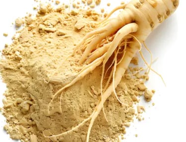 Novislim Ingredient Ginseng-Wurzelextrakt