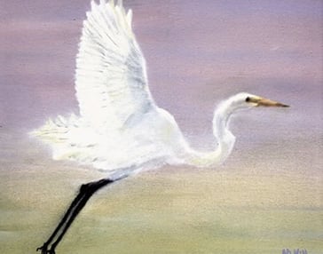a painting of a flying Egret bird in flight