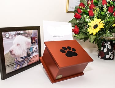 Servicio de cremación de mascotas en Playa del Carmen,