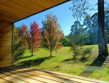 Sauna en el bosque