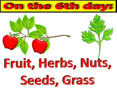 Fruit, Herbs, Nuts, Seeds, Grass on the 6th day designed by Debbie Dunn using PowerPoint & Paint