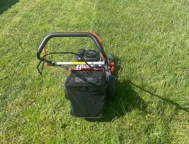 tonte jardin, taille de haie, débroussaillage, entretien jardin