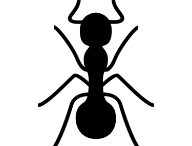 Elimimation des nids de fourmis a Nice et alpes maritimes