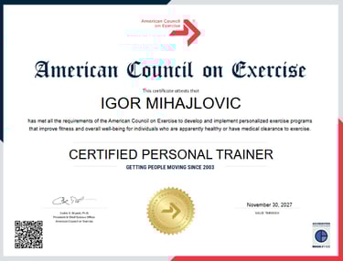 Igor Mihajlovic ACE Certified Personal Trainer