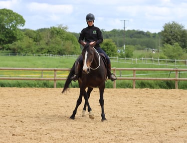 Une cavalière effectue du travail latéral sur un cheval en cordelette dans une carrière