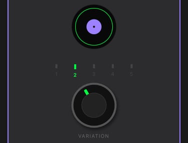 platine et potentiomètre de règlage des variations