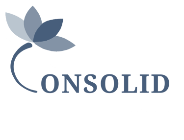 Logo Consolid cabinet conseil TPE PME Paris