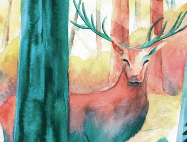 a deer in the forest