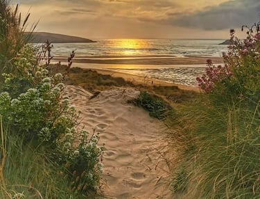 Beach path to sea at golden sunset.
