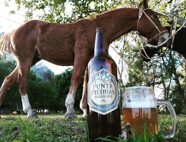 campo - punta piedras cerveza de campo