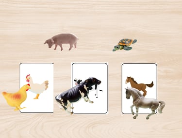 carte de nomanclature petits pas ludiques