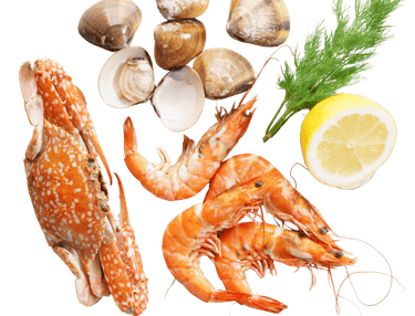 BDP+Partners, consulting, marketing, f&b, hospitality, Tokyo, Japan, Vietnam