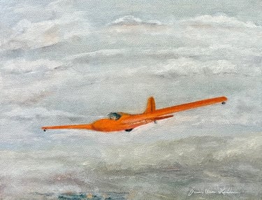 Schweizer SGS-1-26 E
20.32 x 25.4 cm Oil on canvas