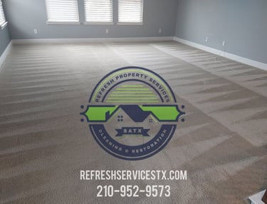 Freshly steam cleaned beige carpet with professional grooming lines in an empty room.