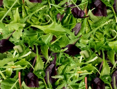 Mezcla de verduras hidróponicas, lechuga, arugula y espinaca baby