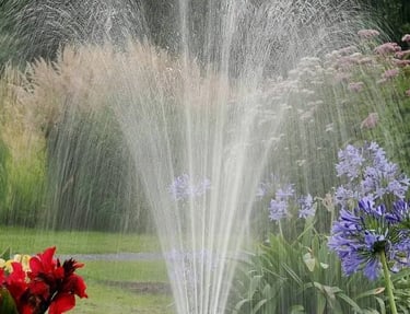 L'arrosage au jardin