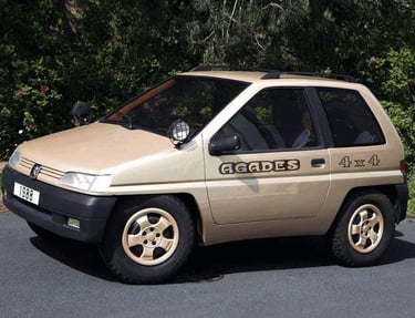 Peugeot agades 4x4 heuliez 1989 beige mayfair