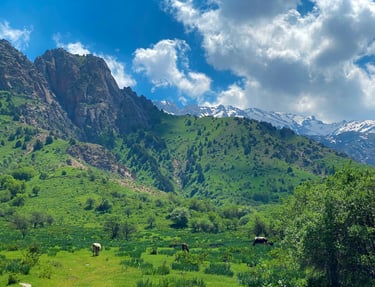 Chimgan Mountains in Tashkent