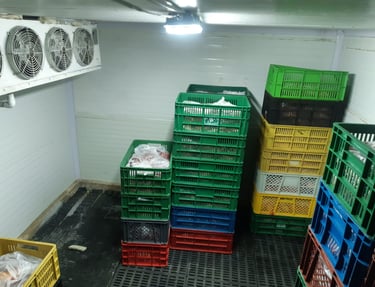 alquiler cuartos fríos y túneles de congelación