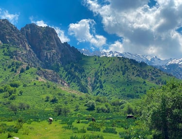 Chimgan Mountains in Tashkent