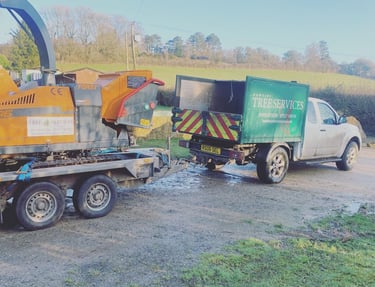 Hawkins tree services truck