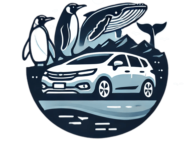 traslados patagonia puerto madryn servicio de taxi