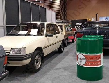 peugeot 205 indiana vendu à 7500€ à époqu'auto en 2022