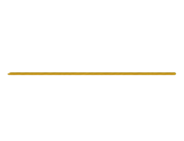 A single, horizontal gold line centered against a solid black background.