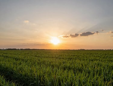a man riding a skateboard down the side of a ramp