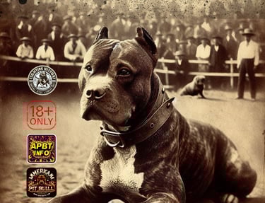 PIT BULL DOG AND BULL TERRIER HISTORY FIGHTING DOGS 1910