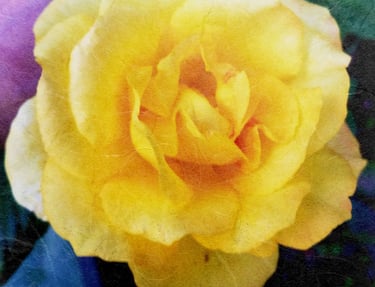 Photo of a yellow rose superimposed over handmade Japanese paper
