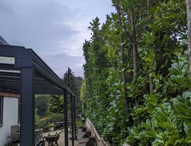 patio landscaping devon rowen