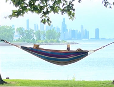 Promontory Point, hammock, book, dog - photo taken by a friend of a member - Link to August 2024 New