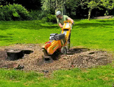 LDT stump grinding