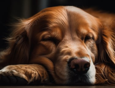 perro durmiendo generada por AI