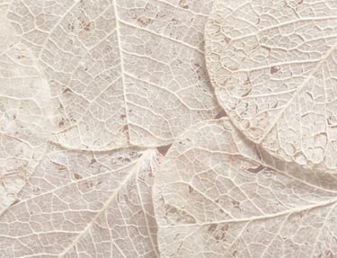 Engagement et principes fondateurs de la naturopathie