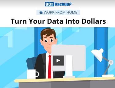 GotBackup - turn your data into dollars