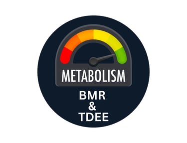BMR & TDEE Calculator
