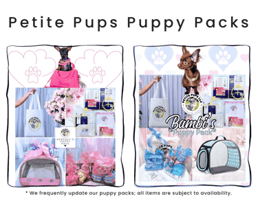 Petite Pups Puppy Packs | Luxury Chihuahua Puppies | PetitePups.com